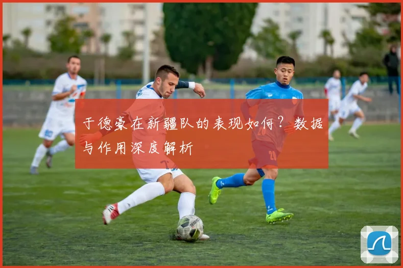 于德豪在新疆队的表现如何?数据与作用深度解析